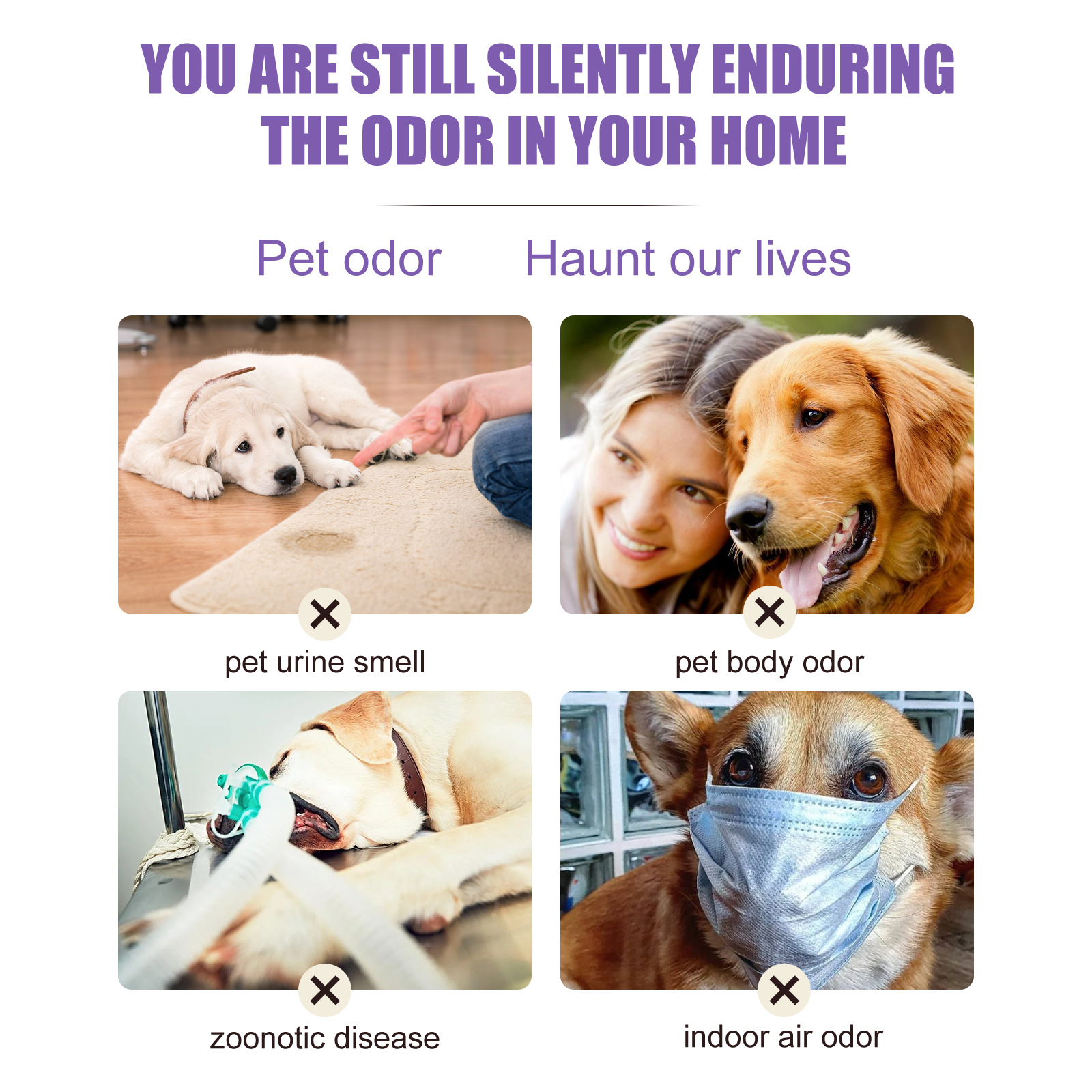 Pet Odor Control Spray