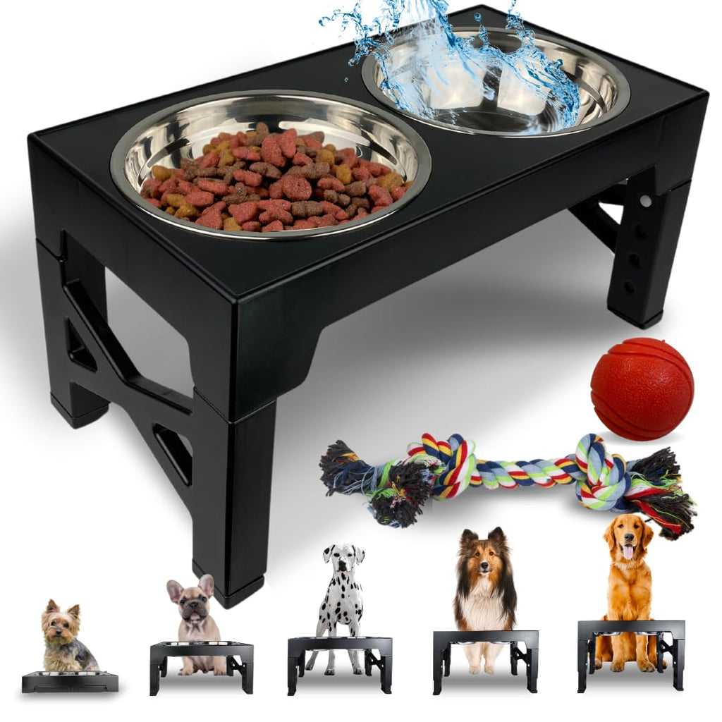 Elevated Dog Bowl Stand With 2 Stainless Steel Bowls