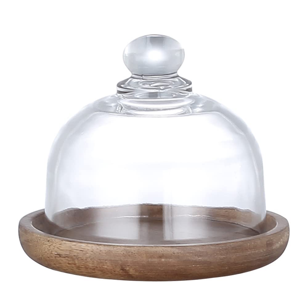 Mini Glass Dessert Dome